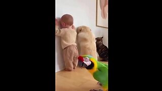 ❤️ Children & Pets are Amazing!