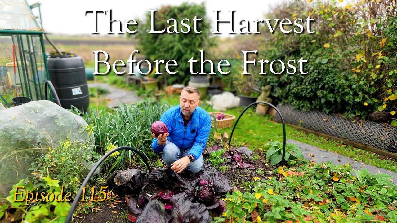 Last harvest before the frost