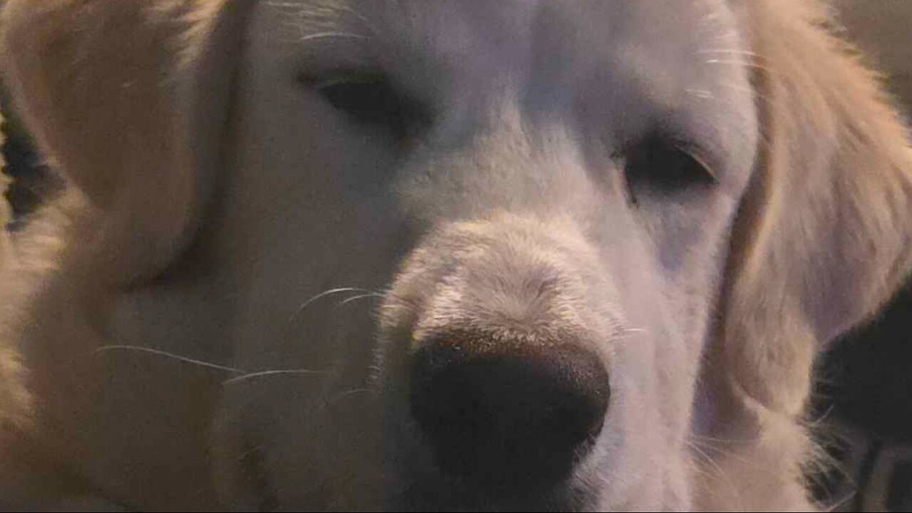 TIRE MARCH #2 | LETS SEE HOW FAR | APP TRACKS DISTANCE