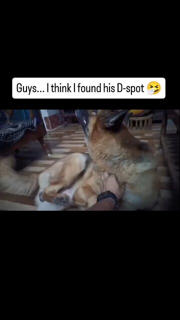 Found a new feature ahh moment 😂