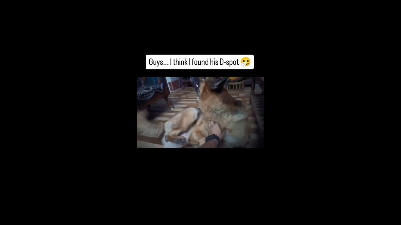 Found a new feature ahh moment 😂