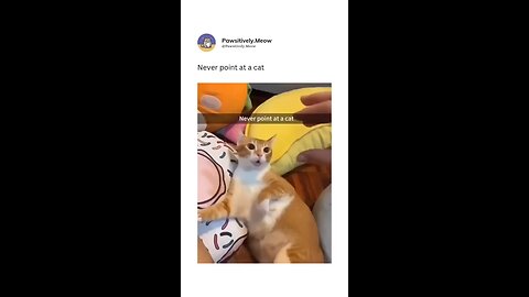 😂😂