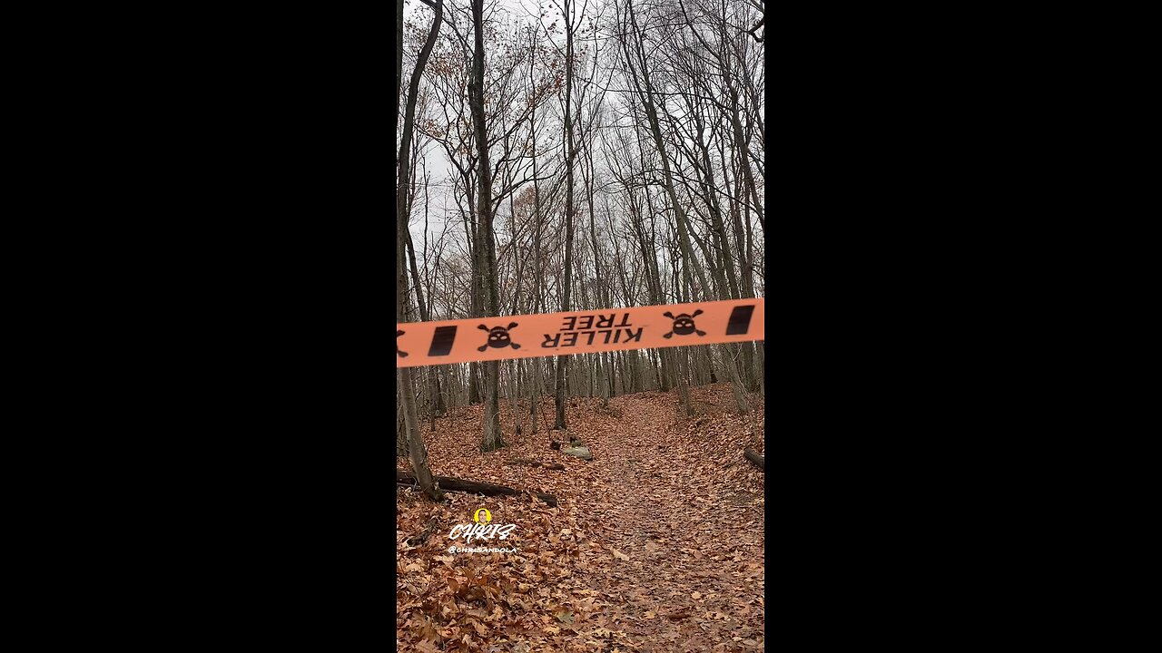 EVER SEEN TAPE LIKE THIS?