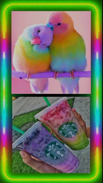 #choose Lisa or Lena #lisaorlena#lisaandlena #lisalena #shorts #trending #viral