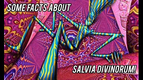 Some facts about Salvia Divinorum