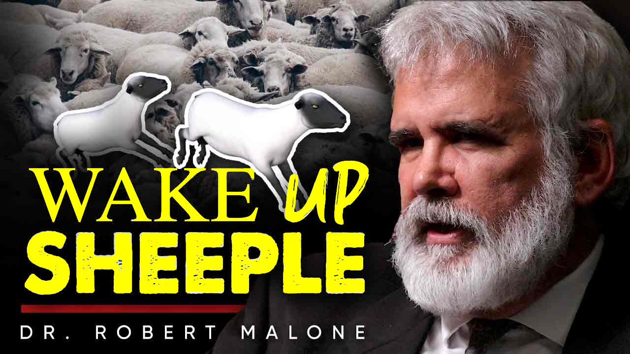 The Plandemic Wasn’t Just A Crisis - It Was A Test