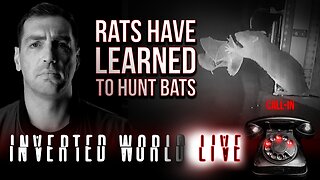 Rats Have Learned to Hunt Bats | Ep. 135
