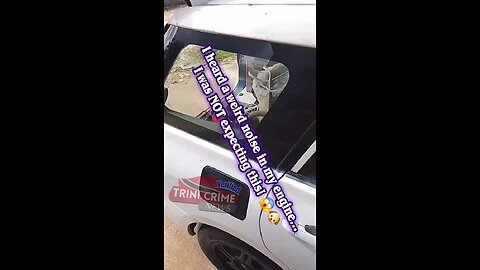 I heard a weird noise in my engine... I was NOT expecting this! 😱🐶