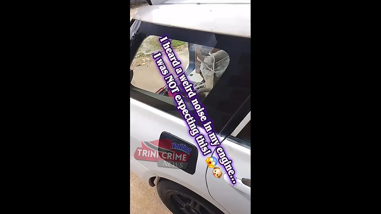 I heard a weird noise in my engine... I was NOT expecting this! 😱🐶