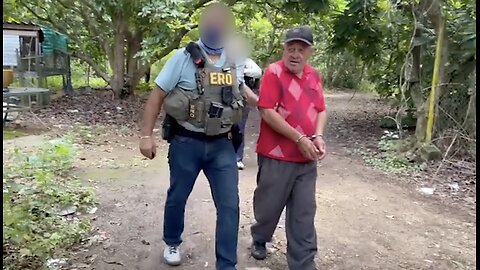 ICE Bodycam Captures Targeted Florida Enforcement Operation on Sex Offenders