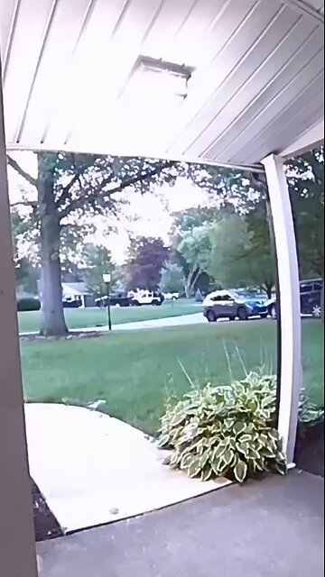 Love All Life Always #503 - An Honest Child Trying To Balance Dad's Request And His Own Morality.