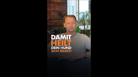 😍🐶 Damit heilt Dein Hund von selbst!