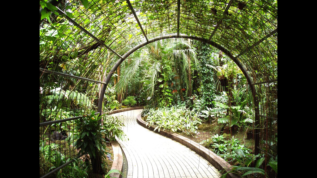 Return to the Garden - Oct 2025