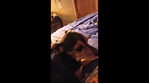 batwings is being all nice you know y?