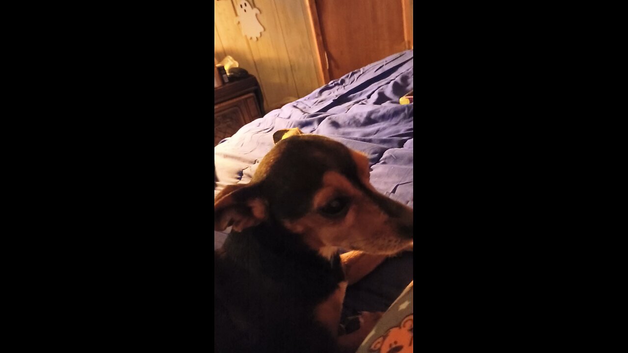 batwings is being all nice you know y?