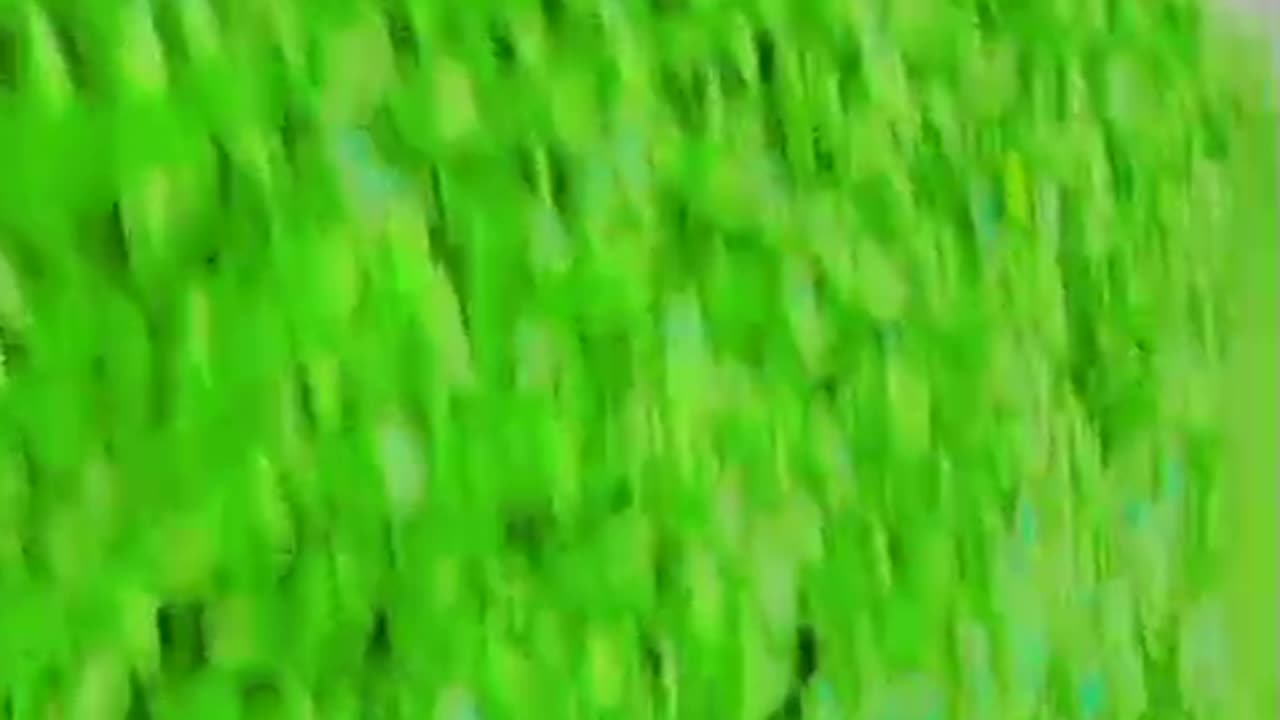 ঘুরতে গিয়ে যা যা দেখলাম