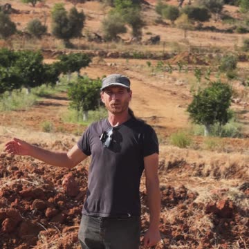 🍋 Jonas gives us an update on the new lemon trees!