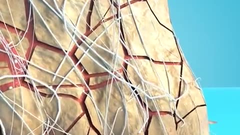 😂👀 This Is Either Genius or Ridiculous... | FunFM