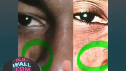 KOBE BRYANT SHAPE SHIFTING LIZARD