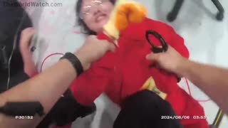 Pro-Palestinian activists filmed hitting UK officers with a sledgehammer