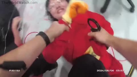 Pro-Palestinian activists filmed hitting UK officers with a sledgehammer