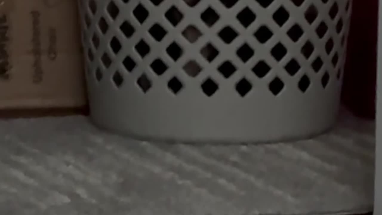 Cat Peers Through Laundry Basket