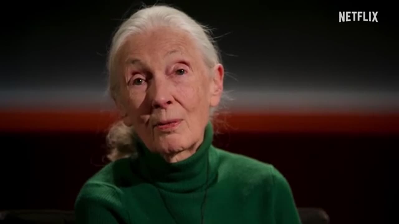 Dr. Jane Goodall’s Jane Goodall was a Eugenics cheerleader...
