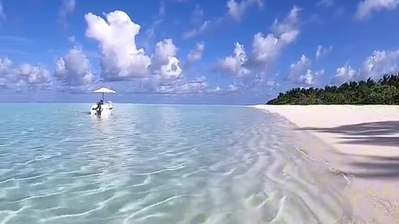 Beautiful beach under the blue sky Lovely nature video SKC.com 5