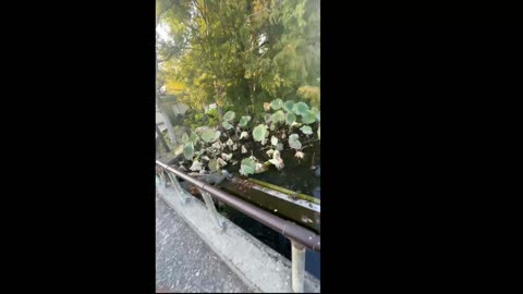 #TOKYO #JAPAN - #ILLPHATED dot COM