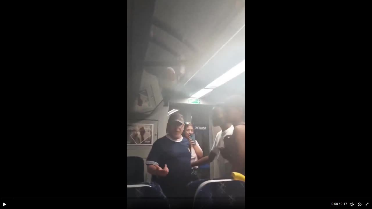 Group of Mostly Young Black Guys Beat Up Old White Grandpa On Train