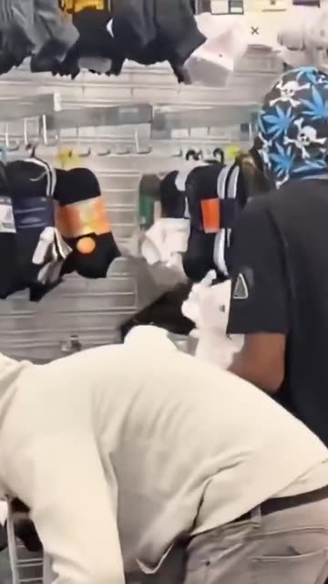 Diversity destroys social cohesion