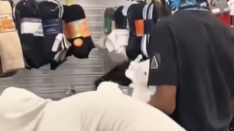 Diversity destroys social cohesion