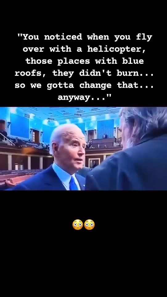 Biden and Blue Roofs