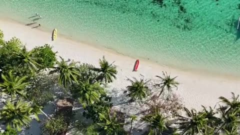 Papaya beach elnido 😍