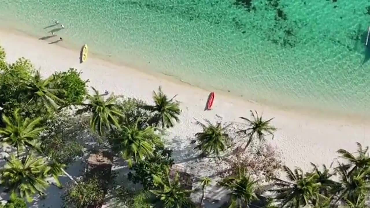 Papaya beach elnido 😍