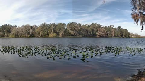 Riverview Time-Lapse: St. John’s Tranquil Tides (Jan 13, 2026)