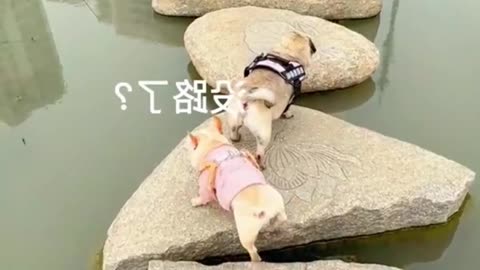 The pink one is speacial