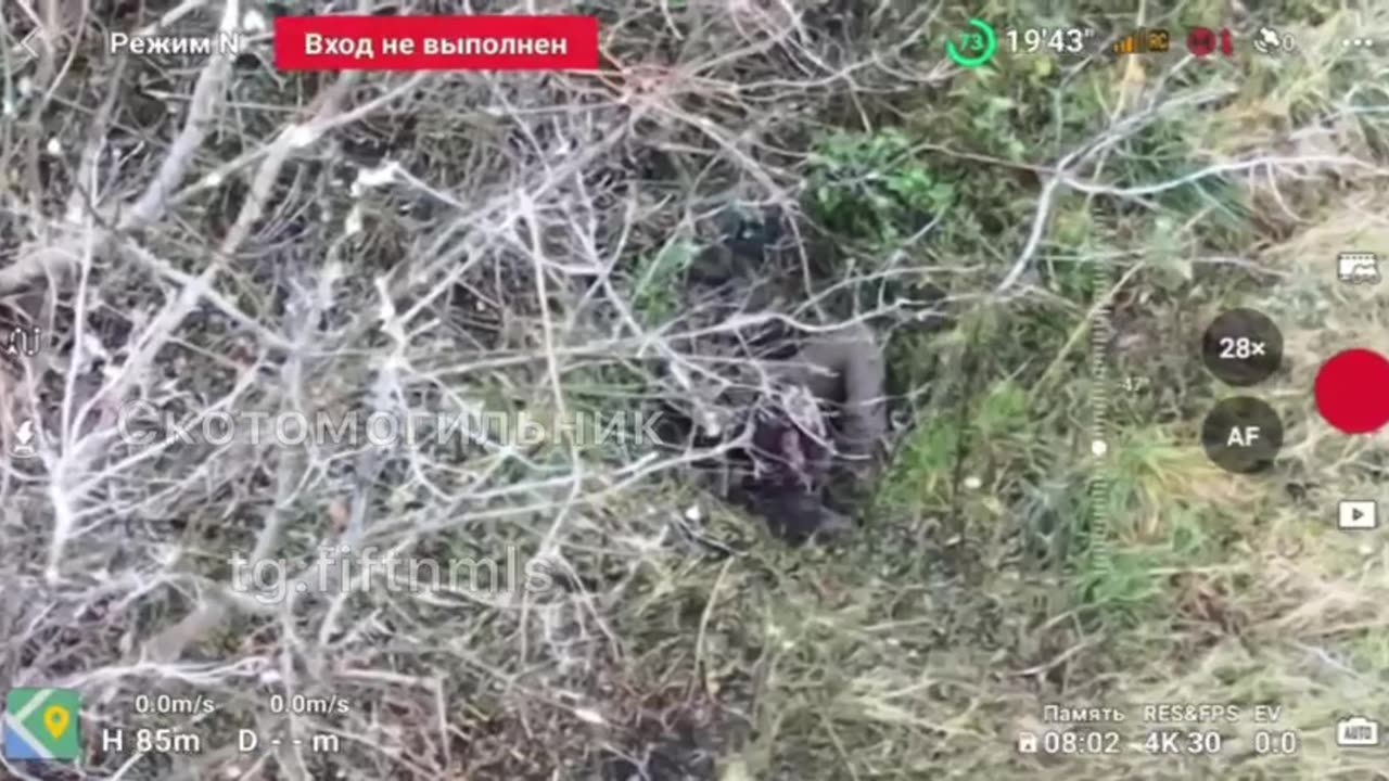 Wounded Ukrainian Shot Himself After Getting Hit by an FPV