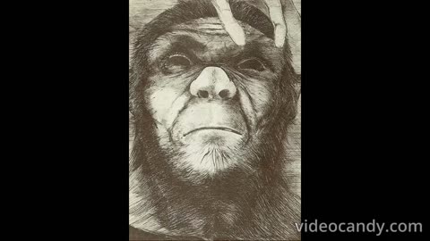 REAL BIGFOOT EVIDENCE SLIDESHOW