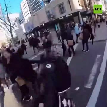 Sound on: Cat of Duty — footage from Mericamemed