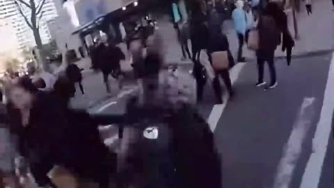 Sound on: Cat of Duty — footage from Mericamemed