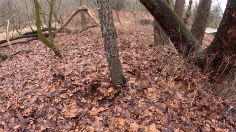 Episode 77 - Doing what Nature wants, not what we want