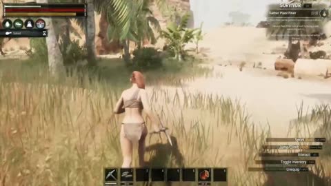 Conan Exciles the beginning /1