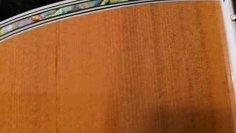 Trent Page's Zager acoustic guitar.