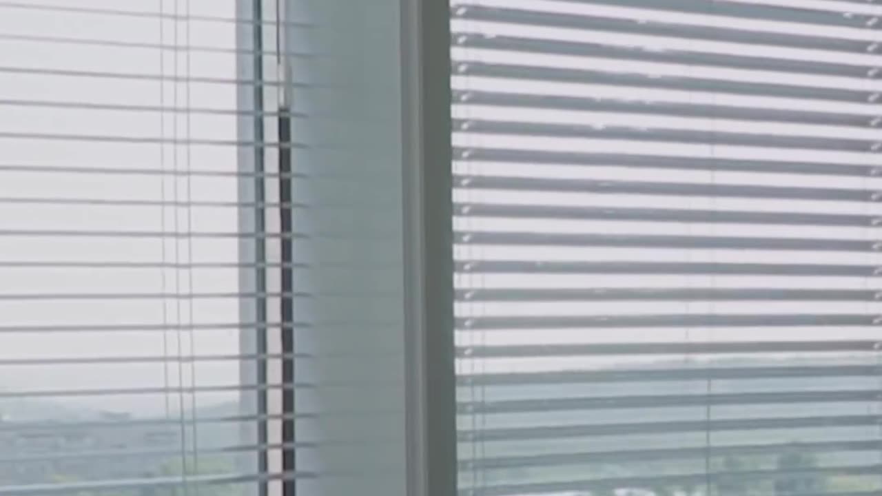 Designer Window Blinds