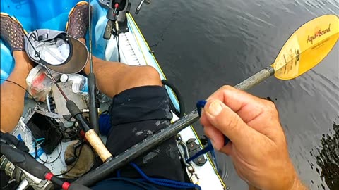 kayak fishing for bowfin in myrtle beach area Waccamaw river