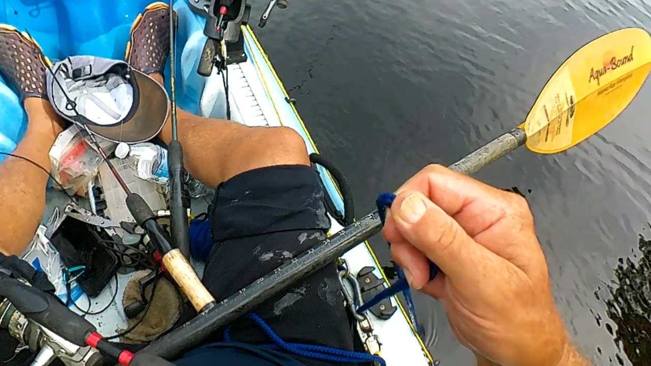 kayak fishing for bowfin in myrtle beach area Waccamaw river