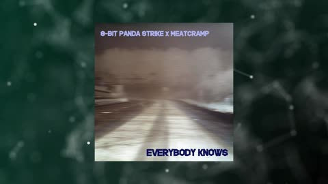 8-Bit Panda Strike and MeatCramp - Everybody Knows