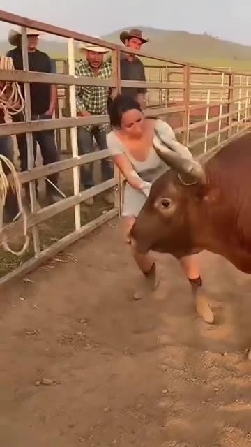 Massive Bull Slams Into Arena Fence — Crowd Left in Shock