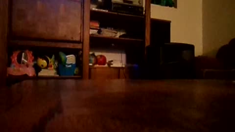 Showing Chris what gabber music is like